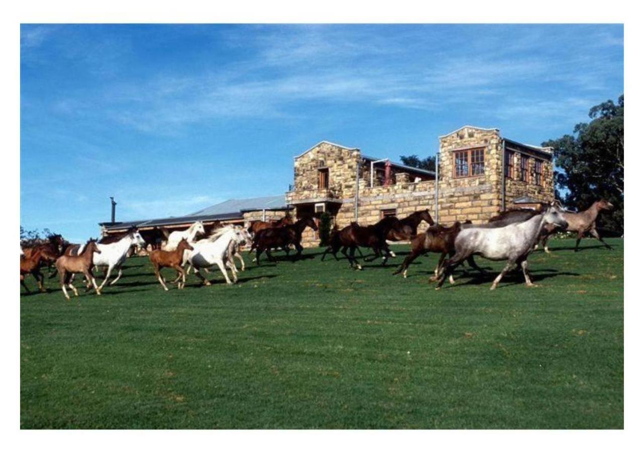 פורייסבורג Moolmanshoek Private Game Reserve מראה חיצוני תמונה